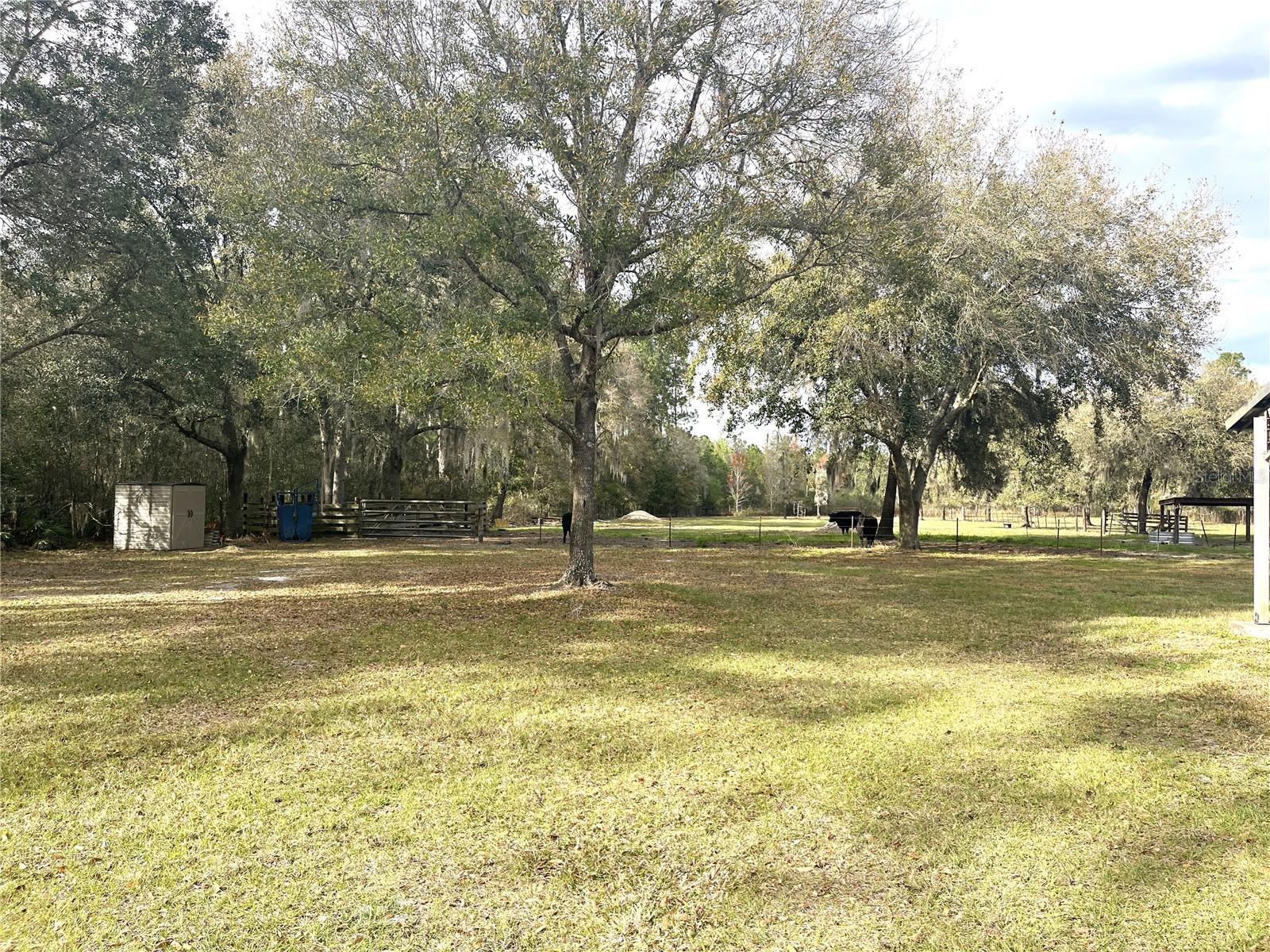 30737 ELAM RD — photo 8