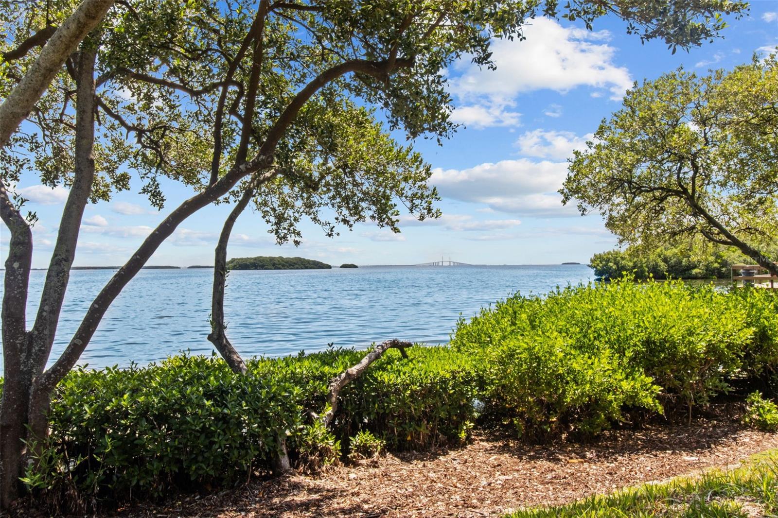 1515 PINELLAS BAYWAY S #65 — photo 3