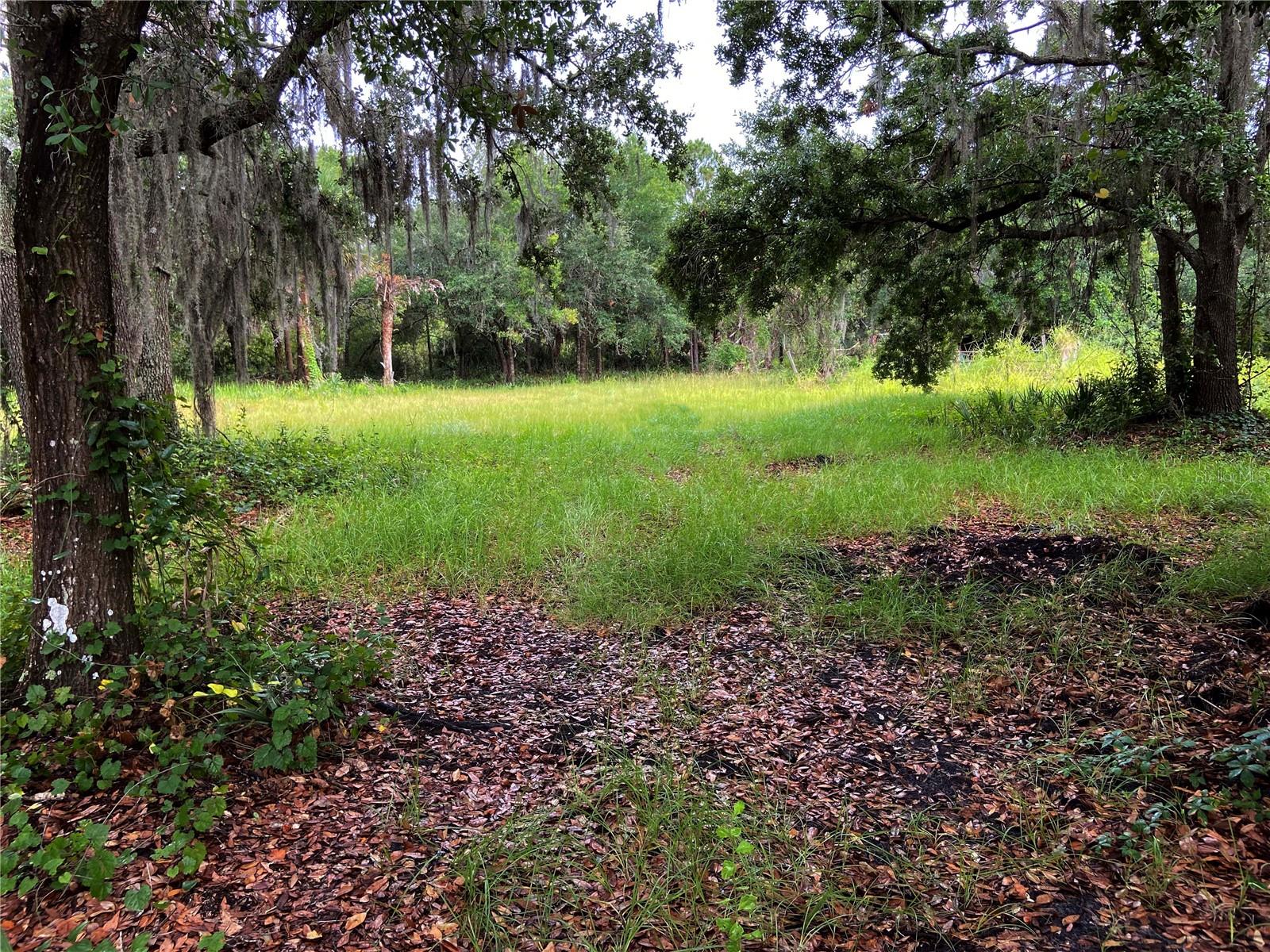 LIGHTFOOT RD — photo 2