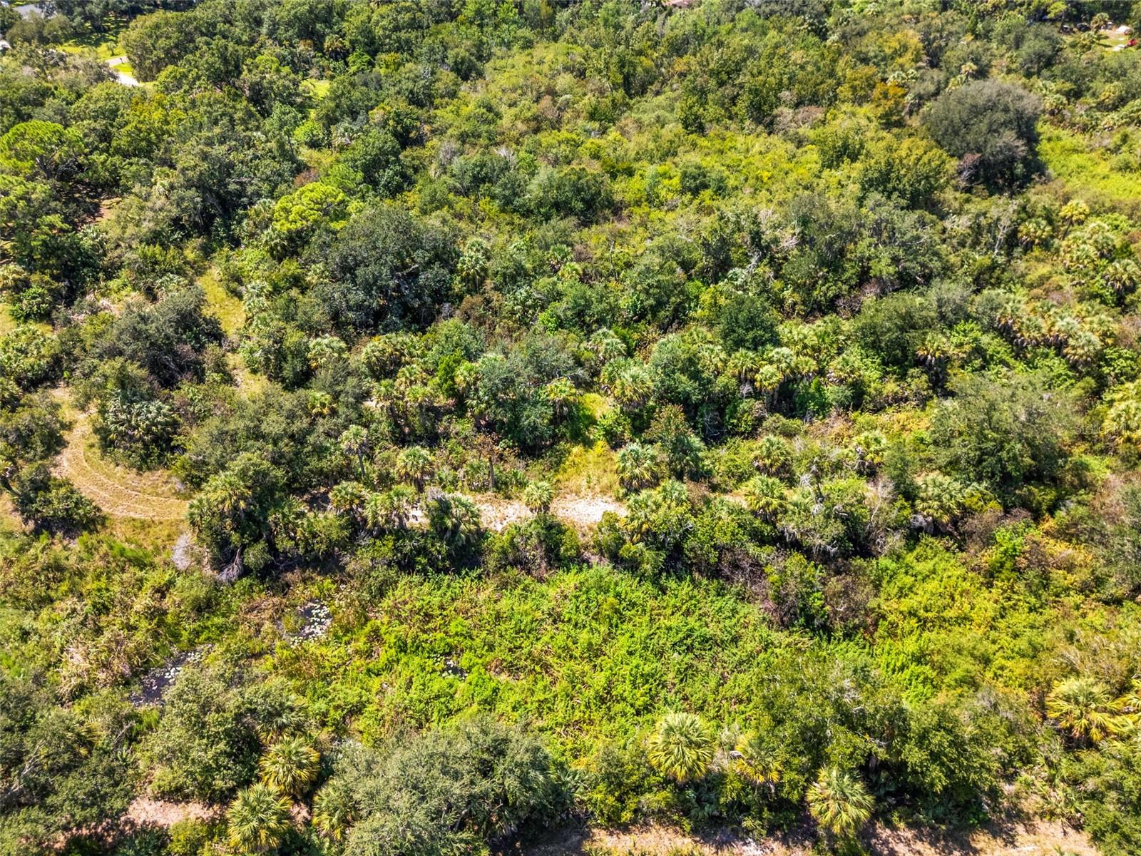 LIGHTFOOT RD — photo 17