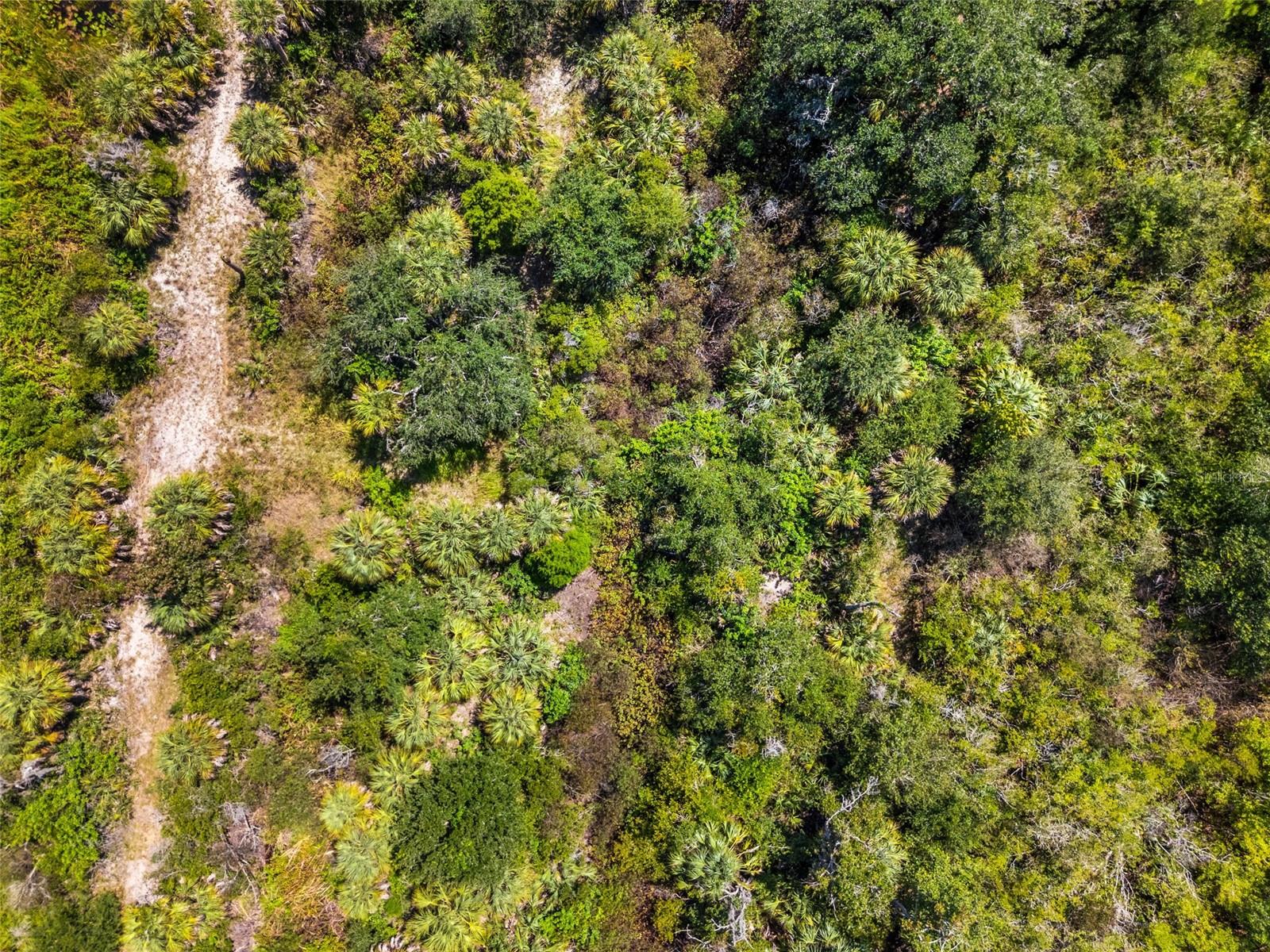LIGHTFOOT RD — photo 18