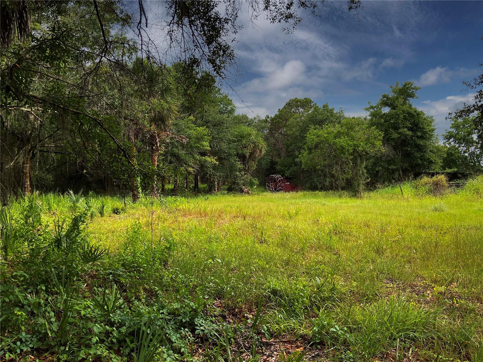 LIGHTFOOT RD — photo 10