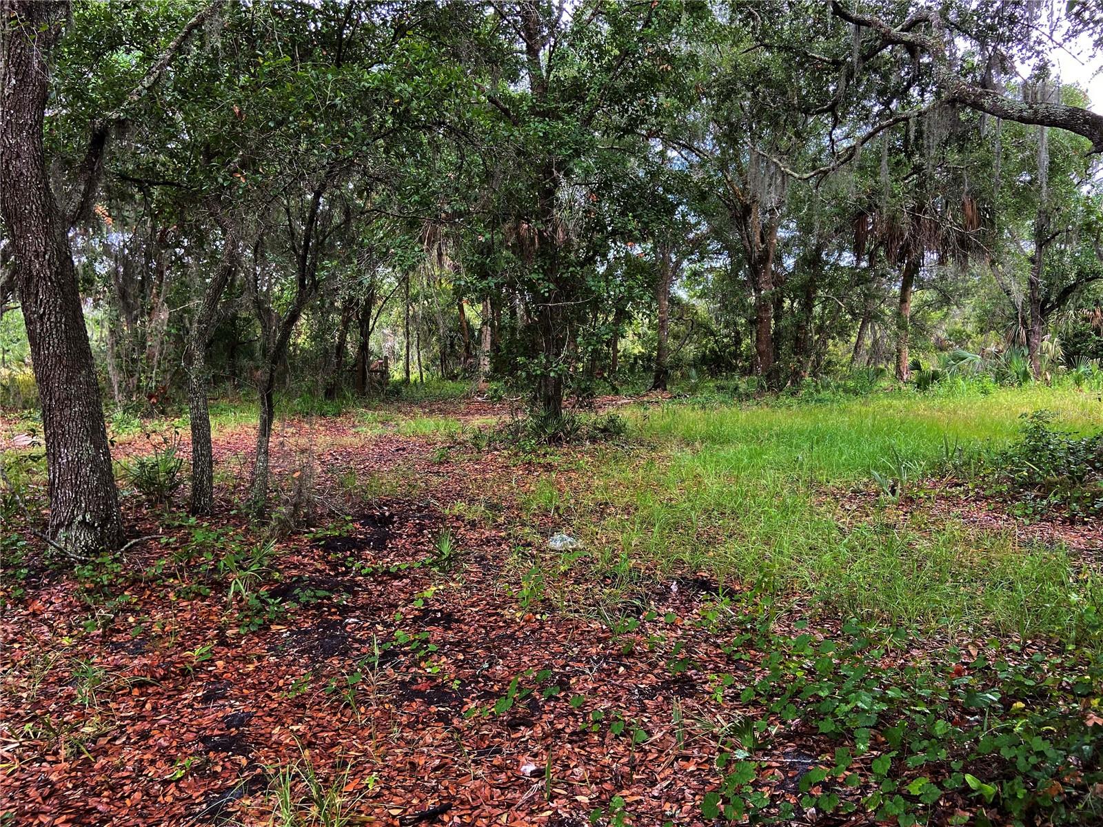 LIGHTFOOT RD — photo 11