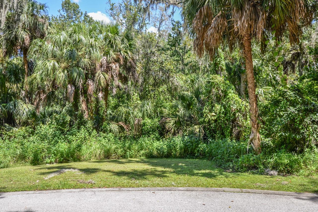 4808 RAMBLING RIVER RD — photo 5