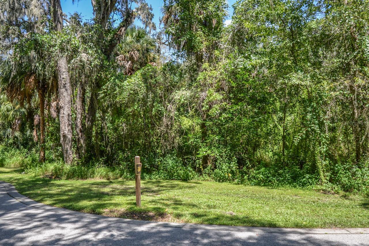 4808 RAMBLING RIVER RD — photo 3