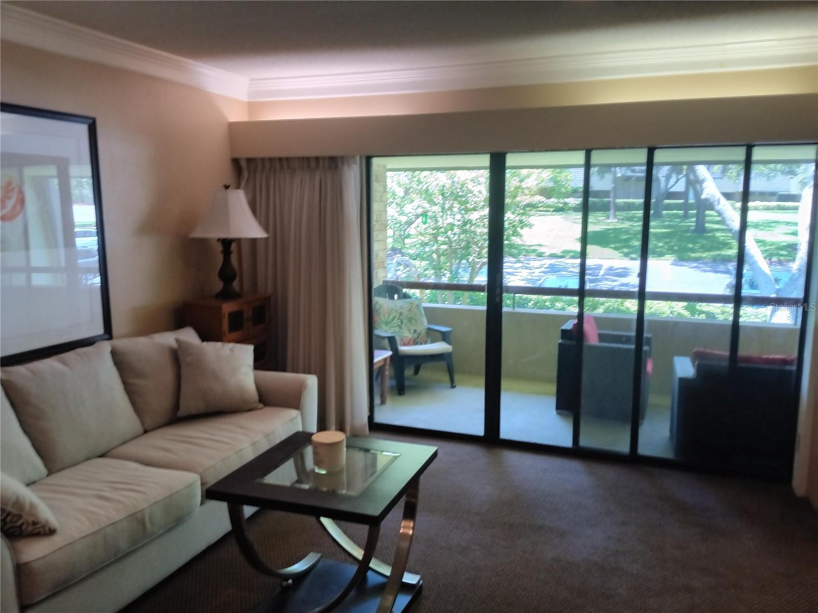 36750 US HIGHWAY 19 N #13-216 — photo 4