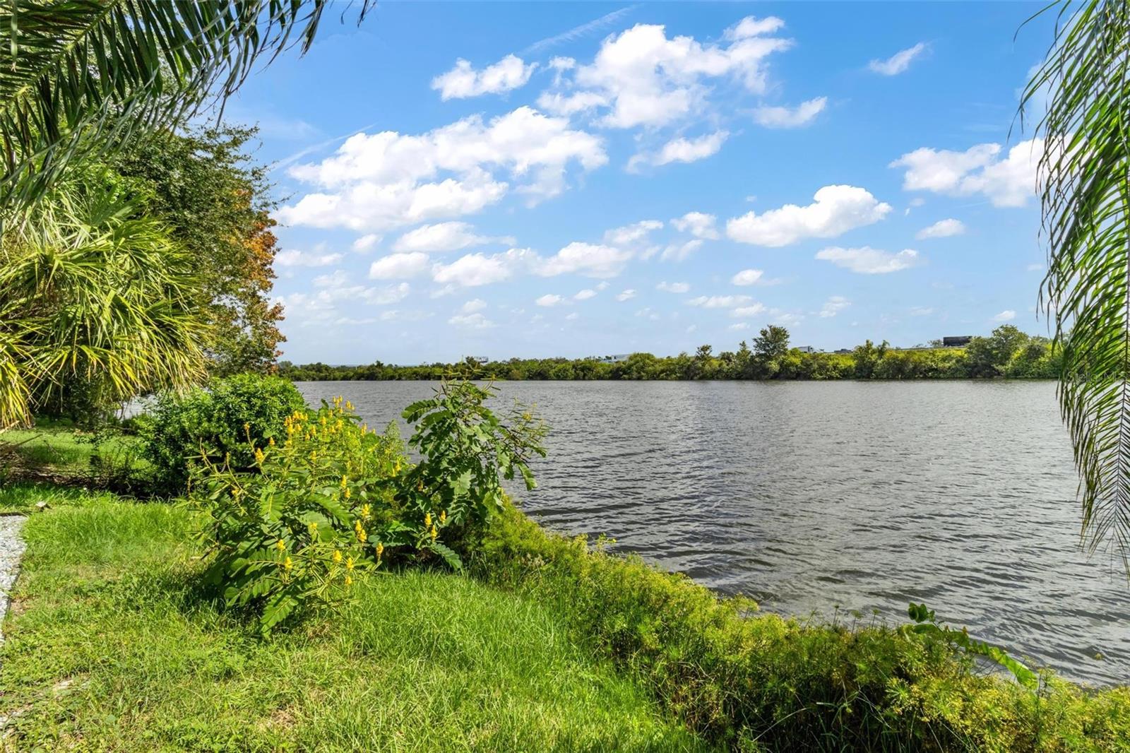 11302 SOUTHWIND LAKE DR — photo 52