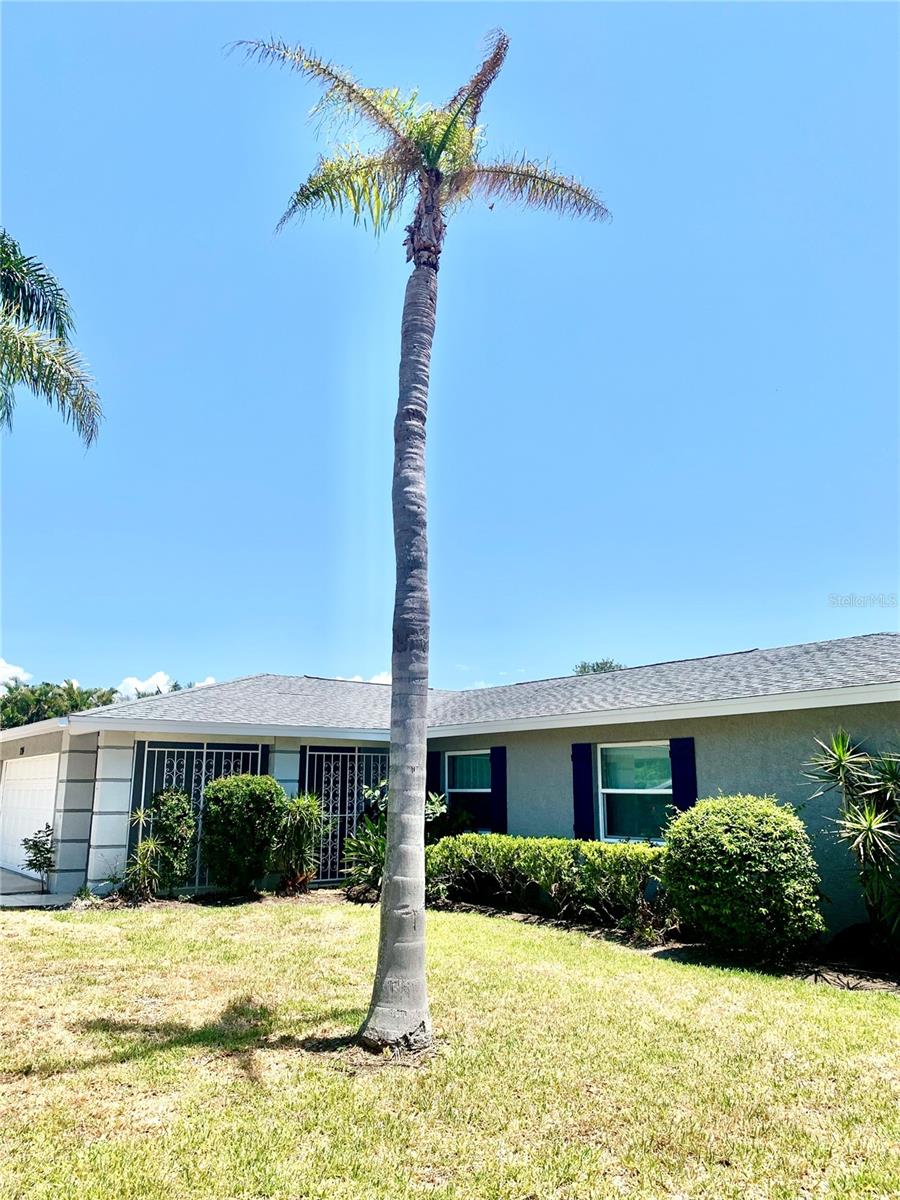 1714 MEADOWOOD ST — photo 42