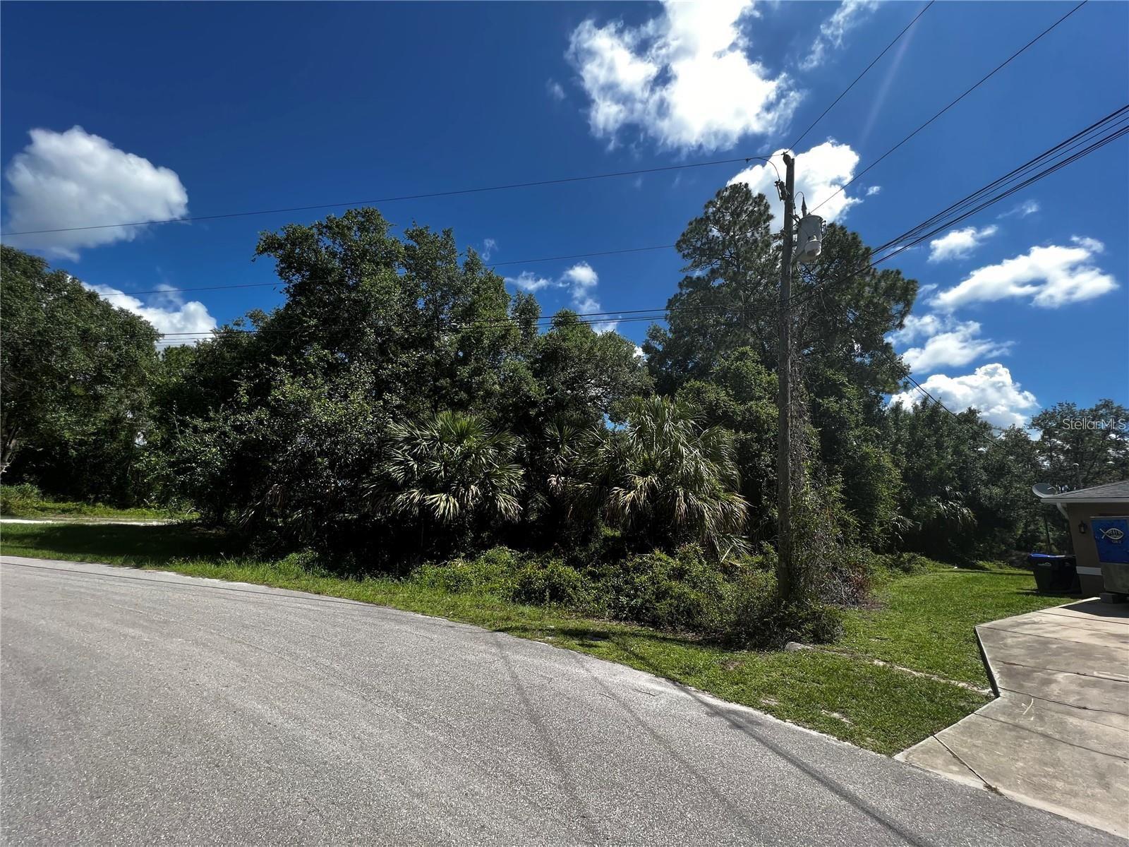 WALLER RD — photo 4