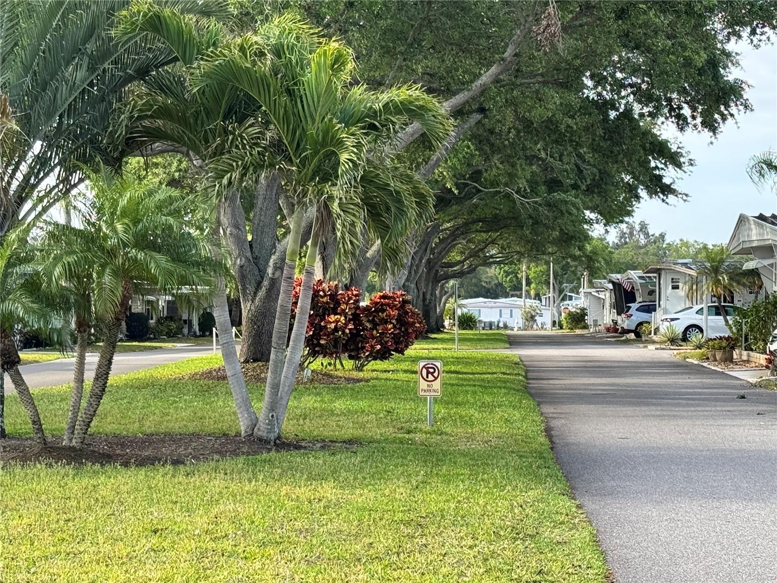 2331 BELLEAIR RD #Lot 237 — photo 27
