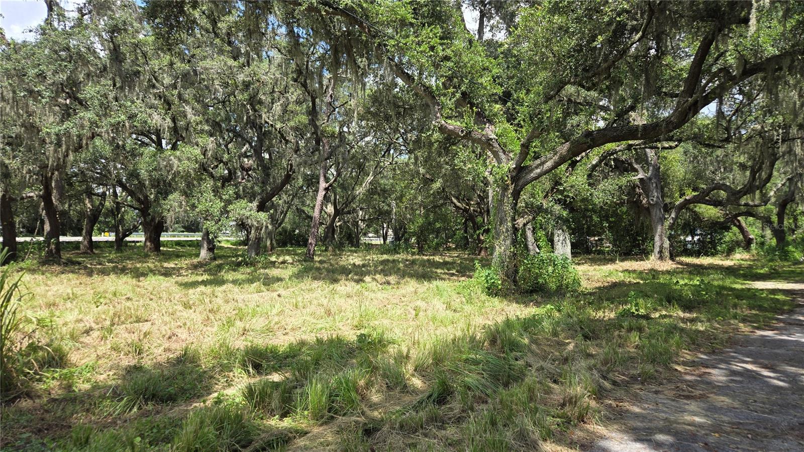 32551 LEONARD RD — photo 29