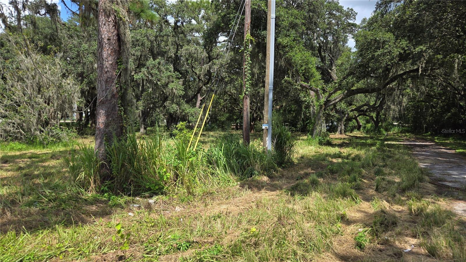 32551 LEONARD RD — photo 28