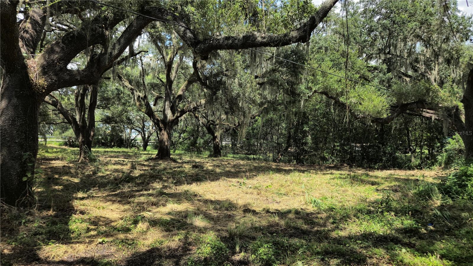 32551 LEONARD RD — photo 30