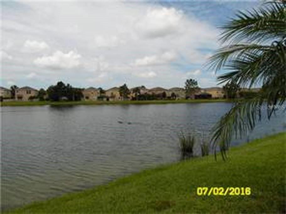 12959 TIGERS EYE DR — photo 17