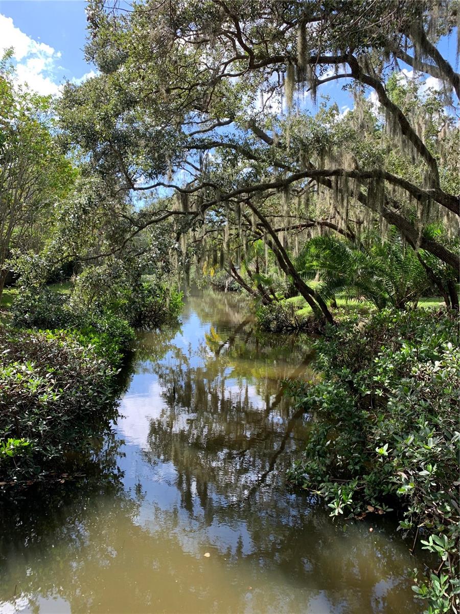 Home in SARASOTA — photo 17