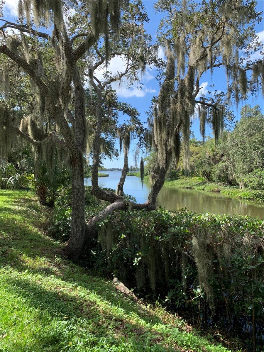Home in SARASOTA — photo 18