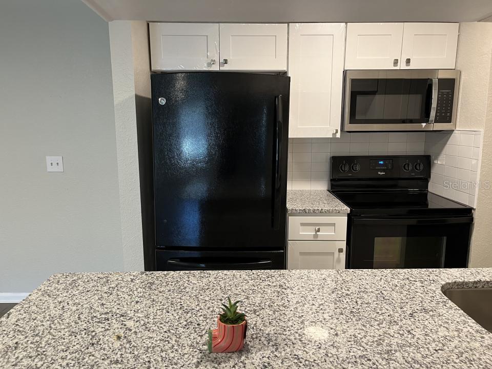 624 GOLDEN RAINTREE PL #624 — photo 2