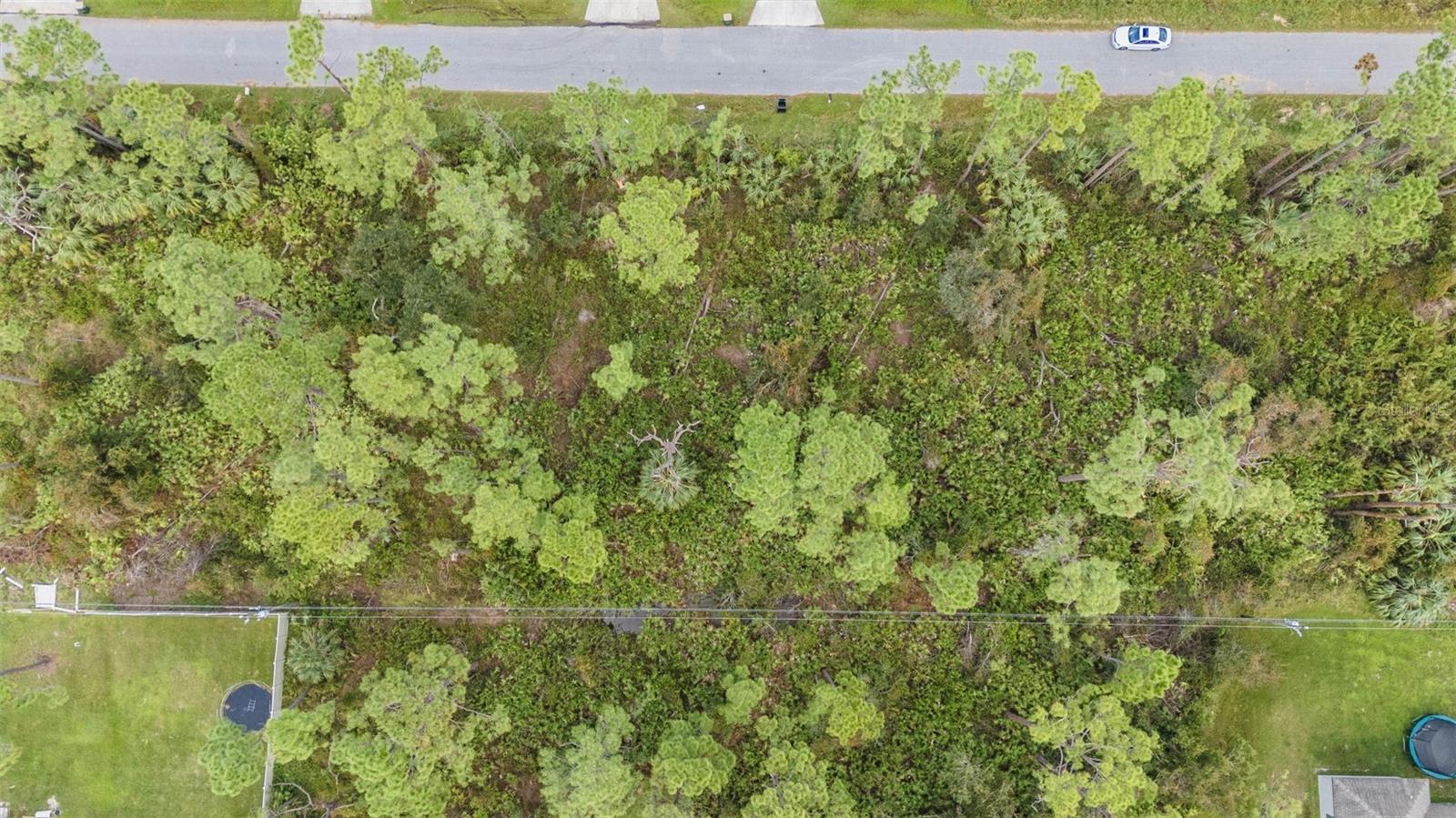 SUNBURST AVE — photo 20