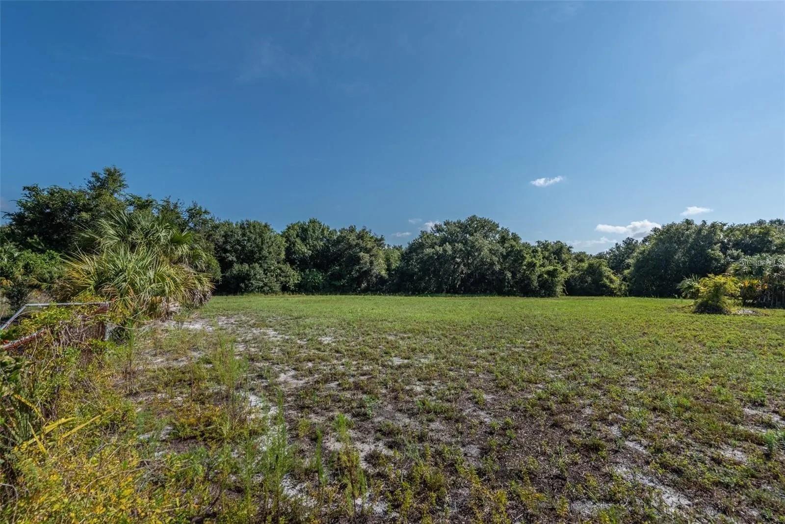 12154 BULLFROG CREEK RD — photo 10