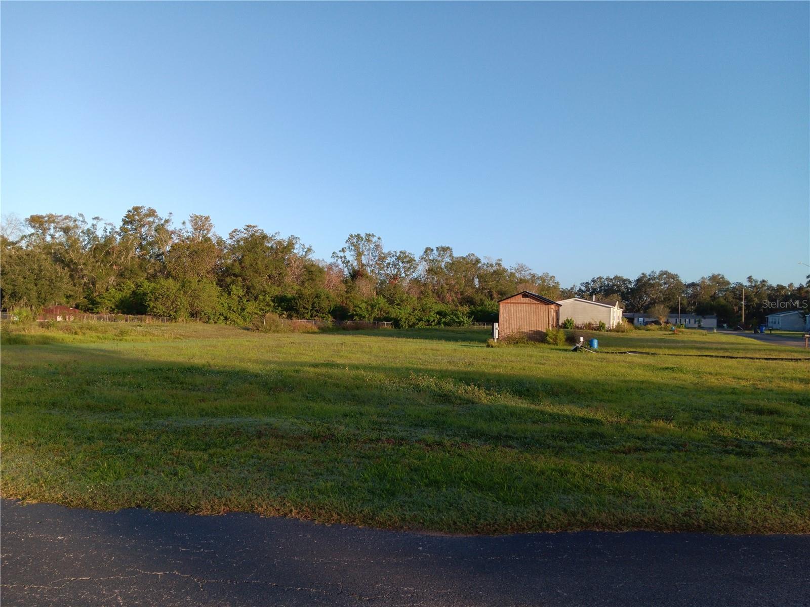 9138 WOOD TERRACE DR — photo 5