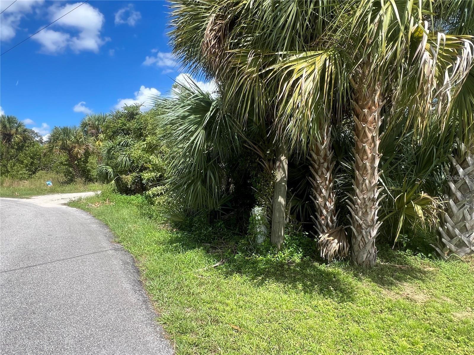 LOT 6 DENARGO RD — photo 2