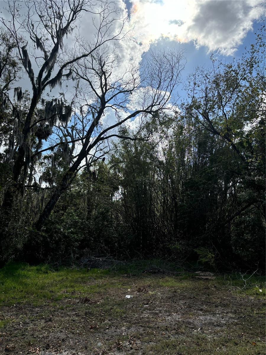 0 KOLB PL — photo 4