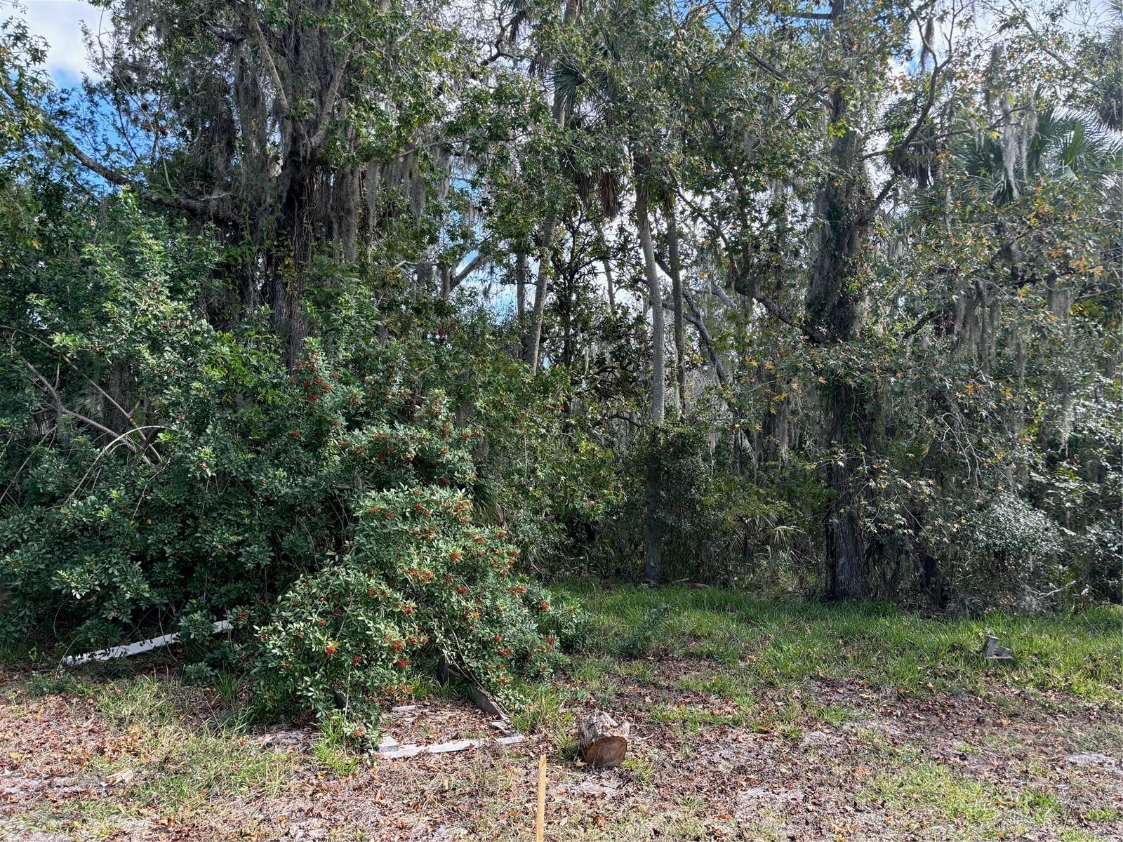 0 KOLB PL — photo 2