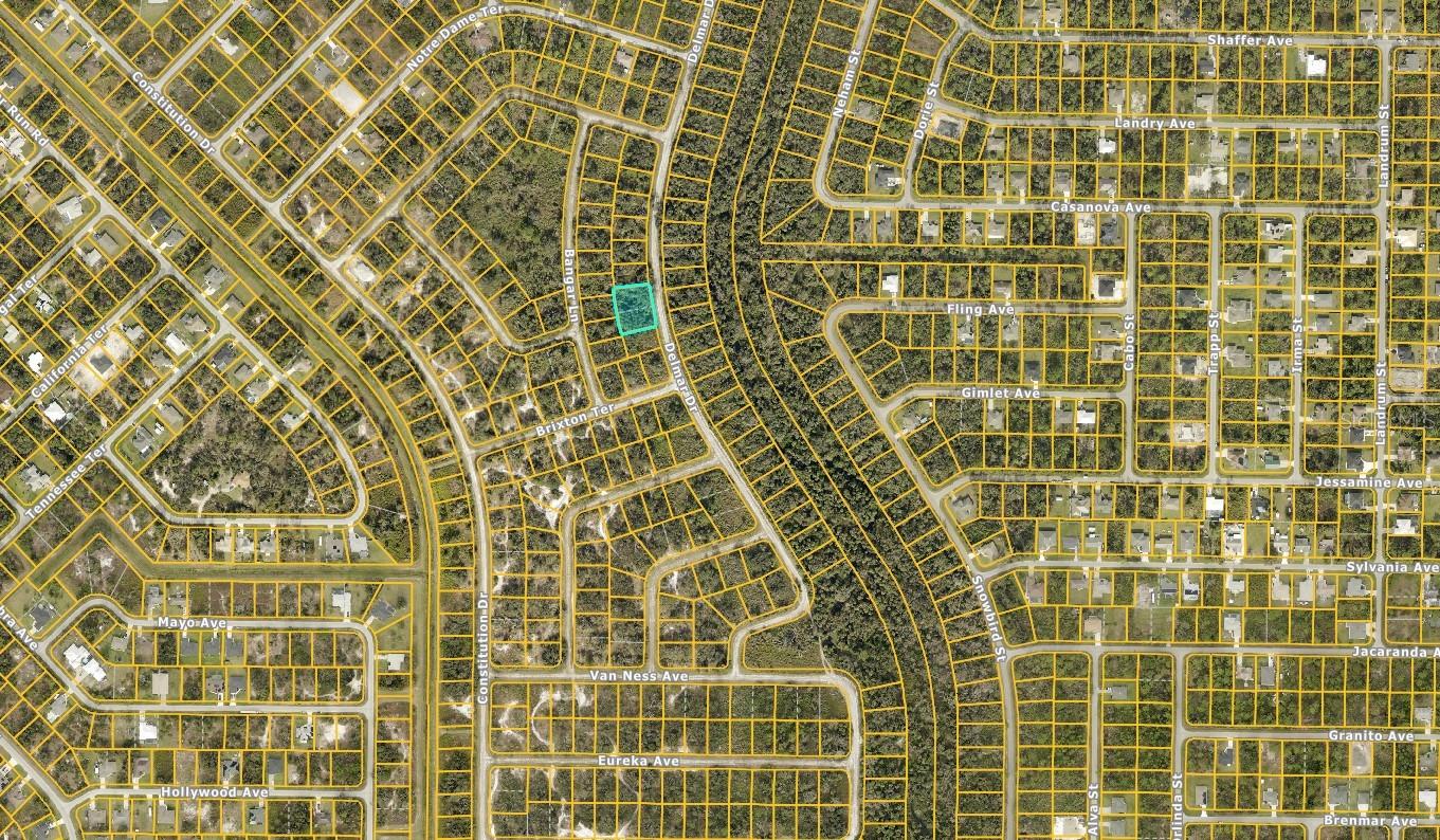0969062306 DELMAR DR — photo 3