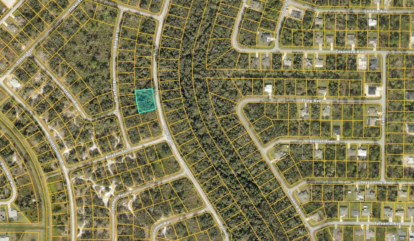 0969062306 DELMAR DR — photo 2