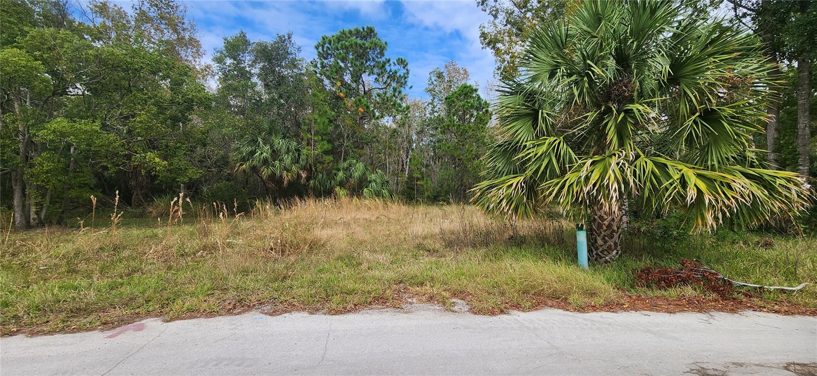 LOT 285 CUTLASS DR — photo 3
