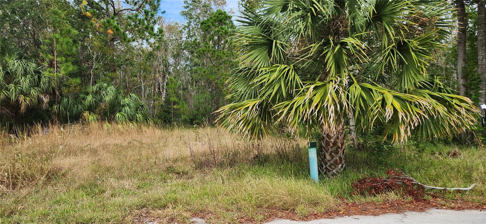 LOT 285 CUTLASS DR — photo 4