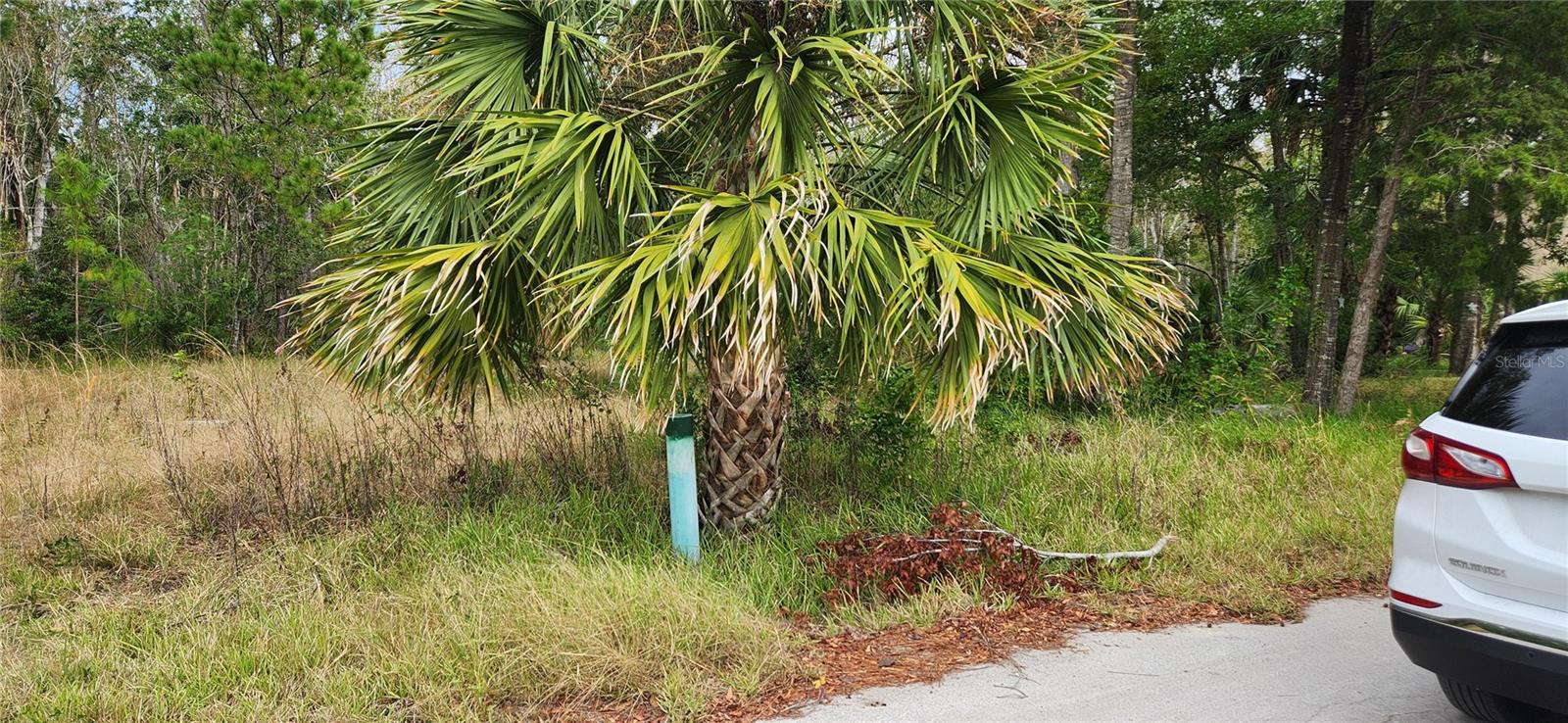 LOT 285 CUTLASS DR — photo 8