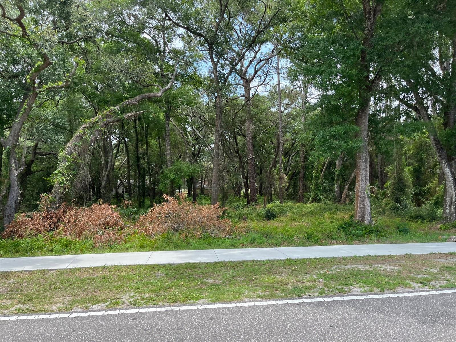 12120 HICKS RD — photo 6