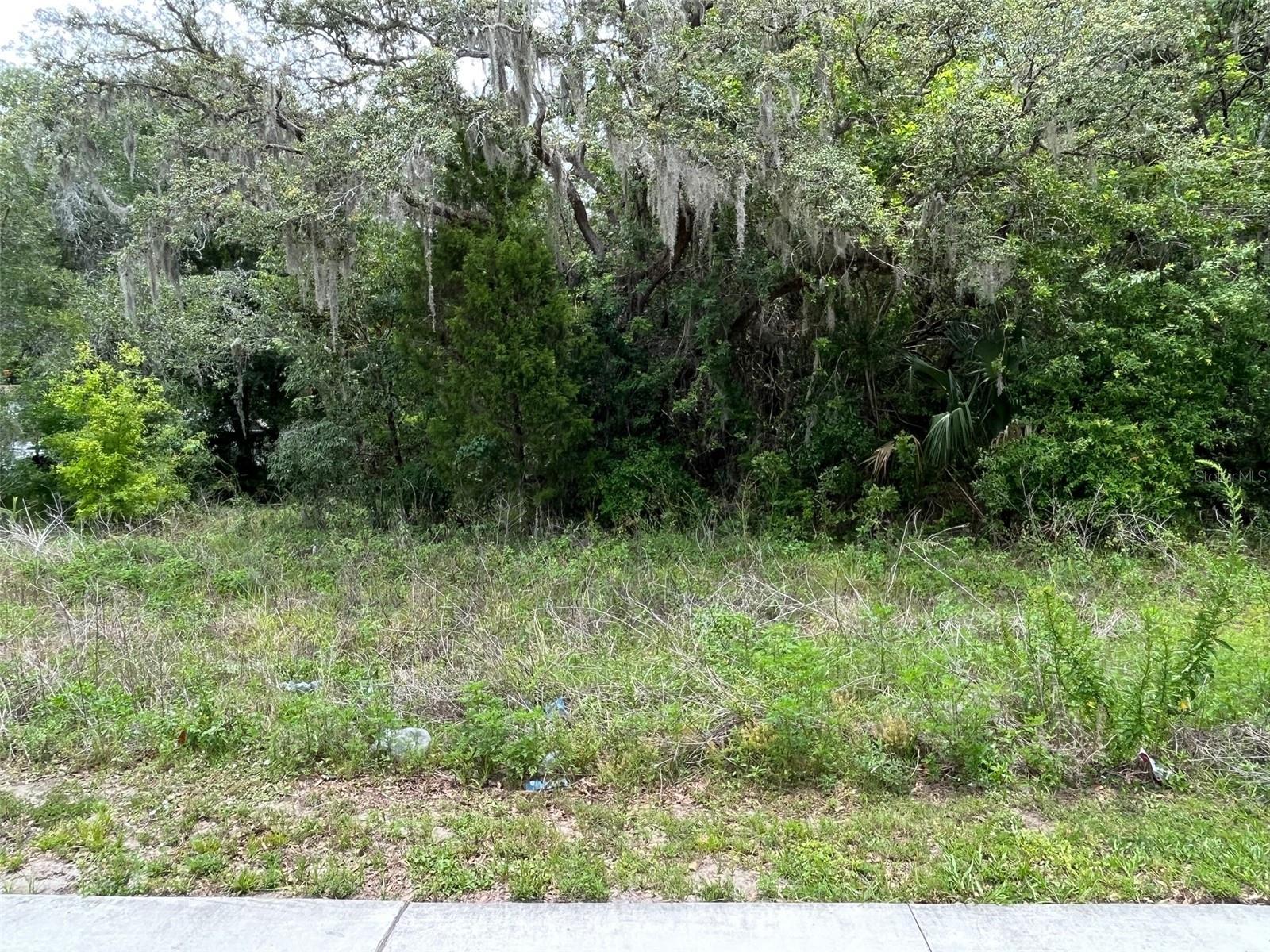 12120 HICKS RD — photo 4