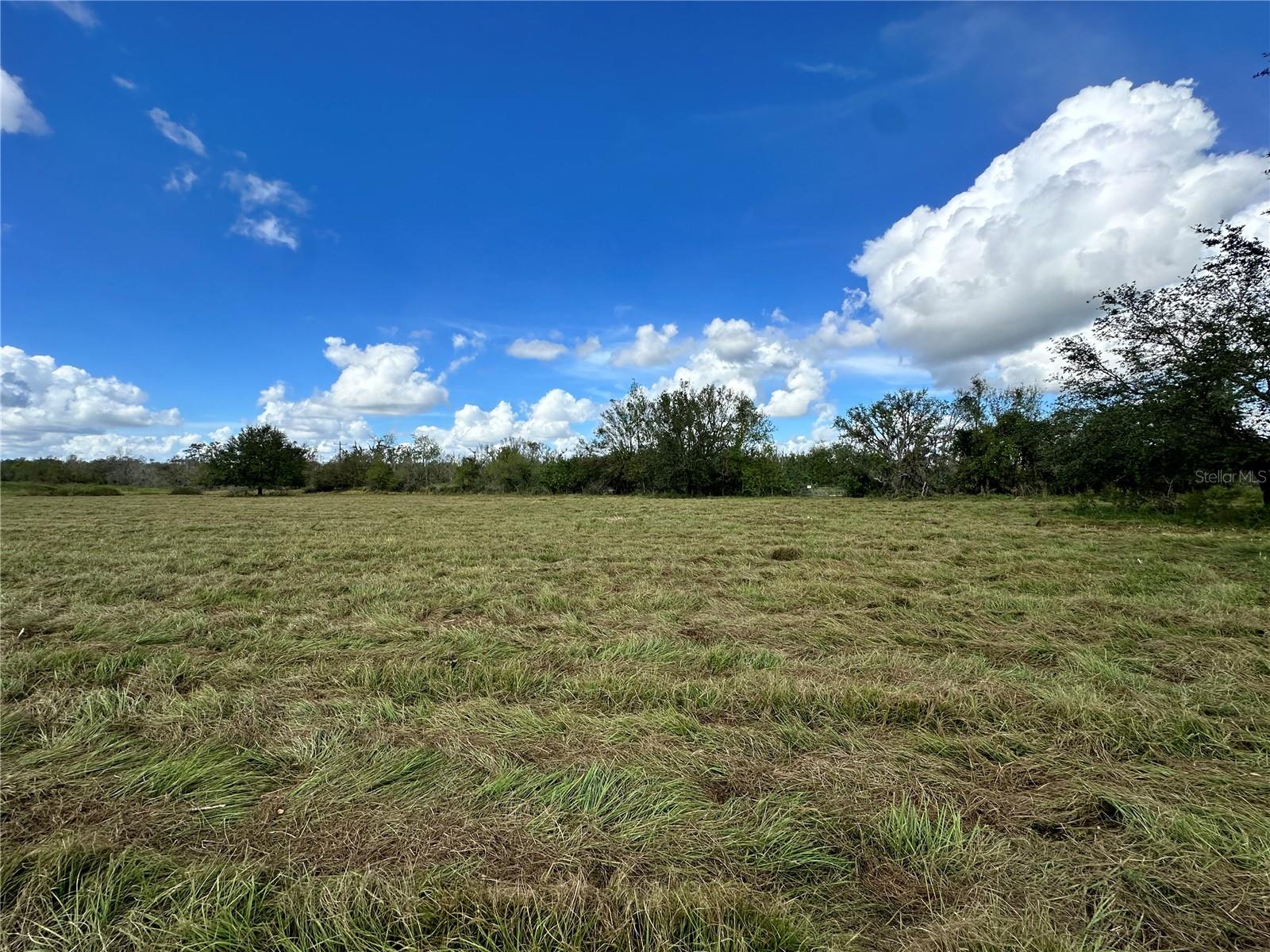 WAUCHULA RD — photo 2