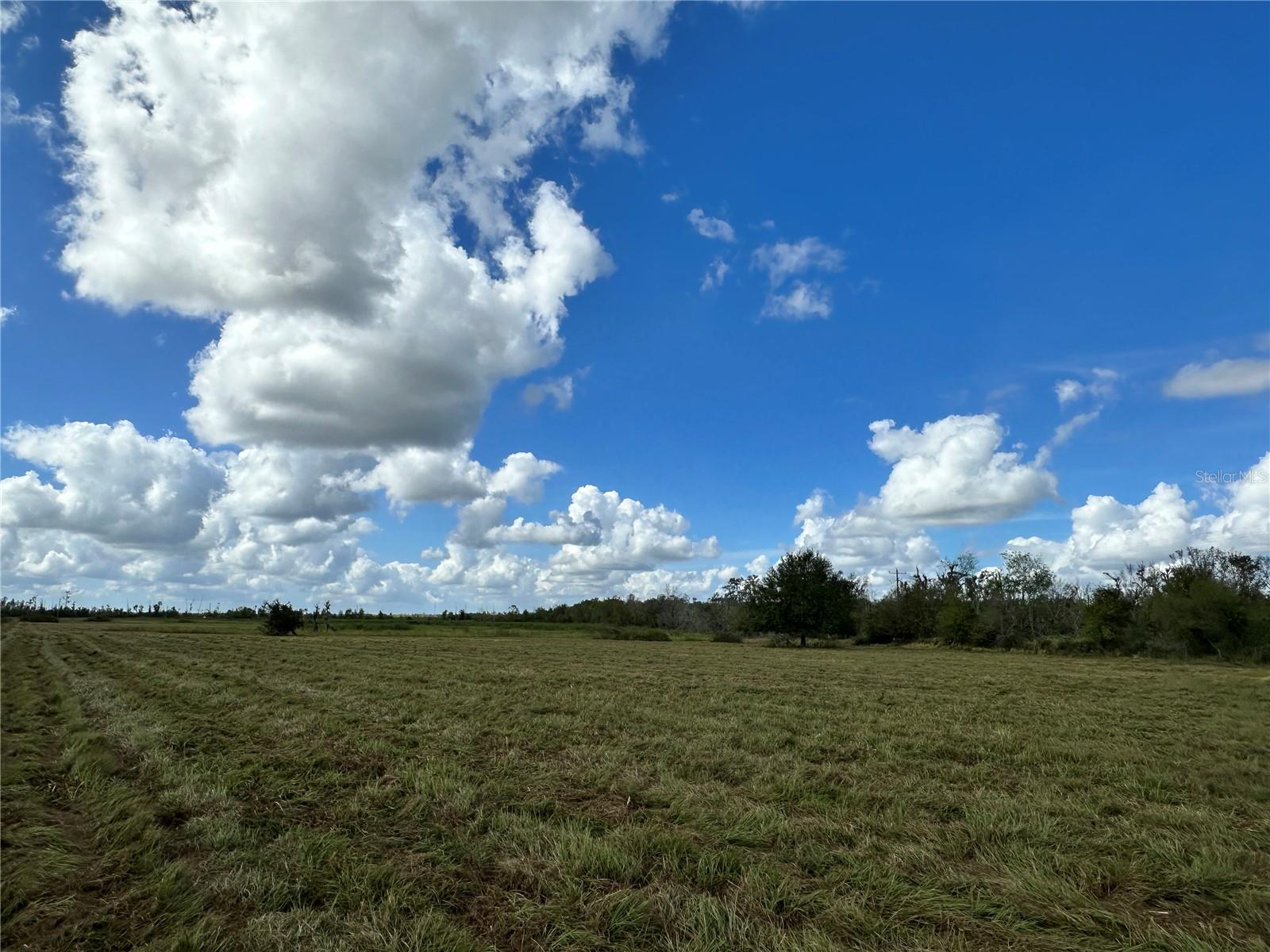 WAUCHULA RD — photo 4