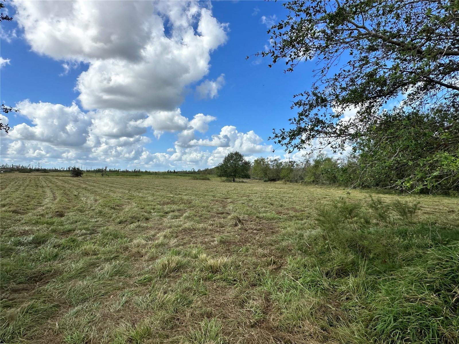 WAUCHULA RD — photo 3