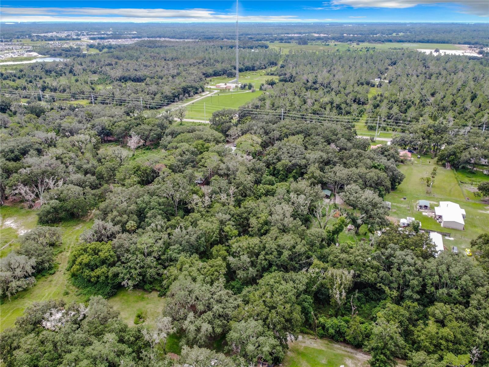 16206 BOYETTE RD — photo 6