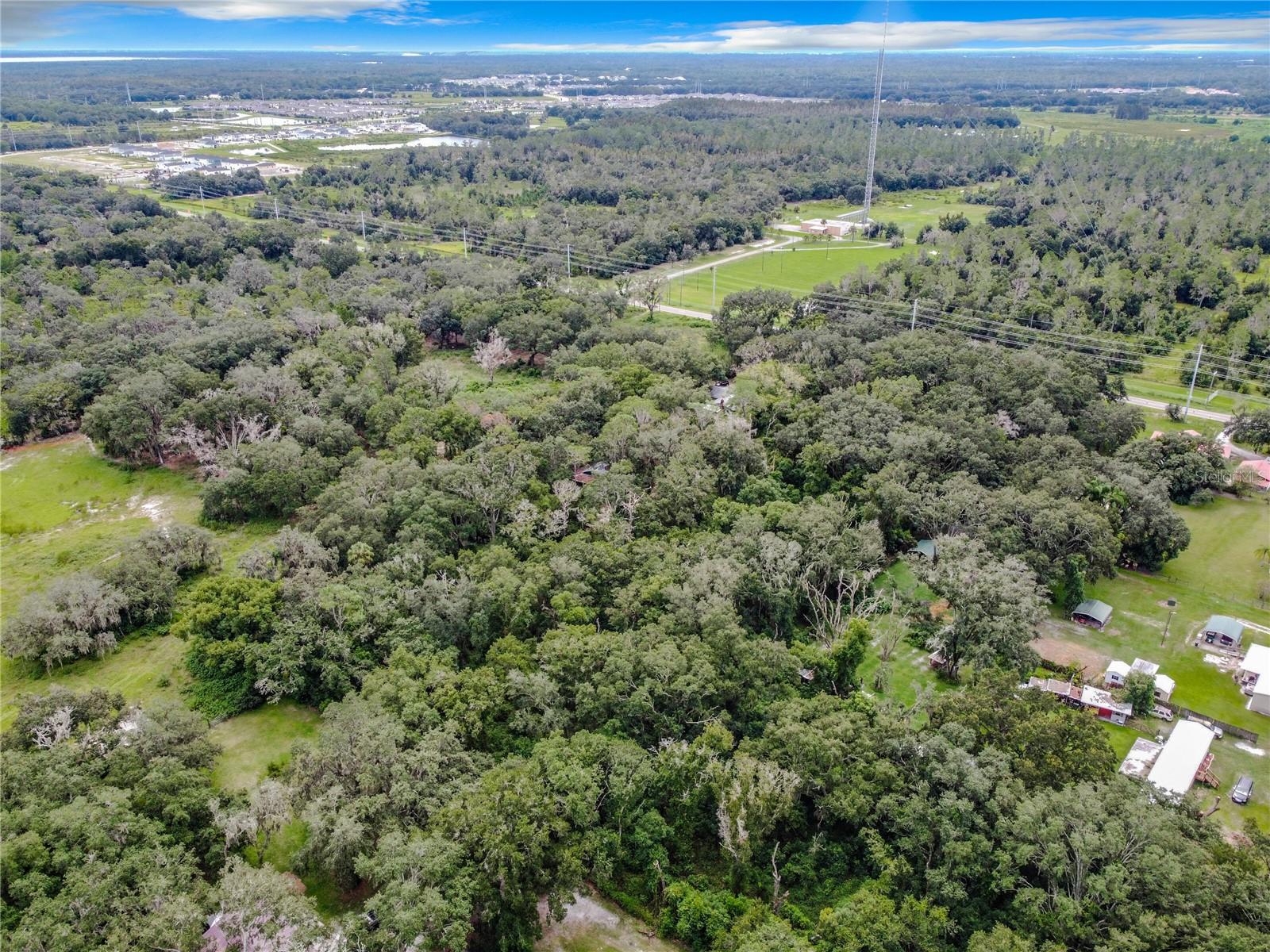 16206 BOYETTE RD — photo 7