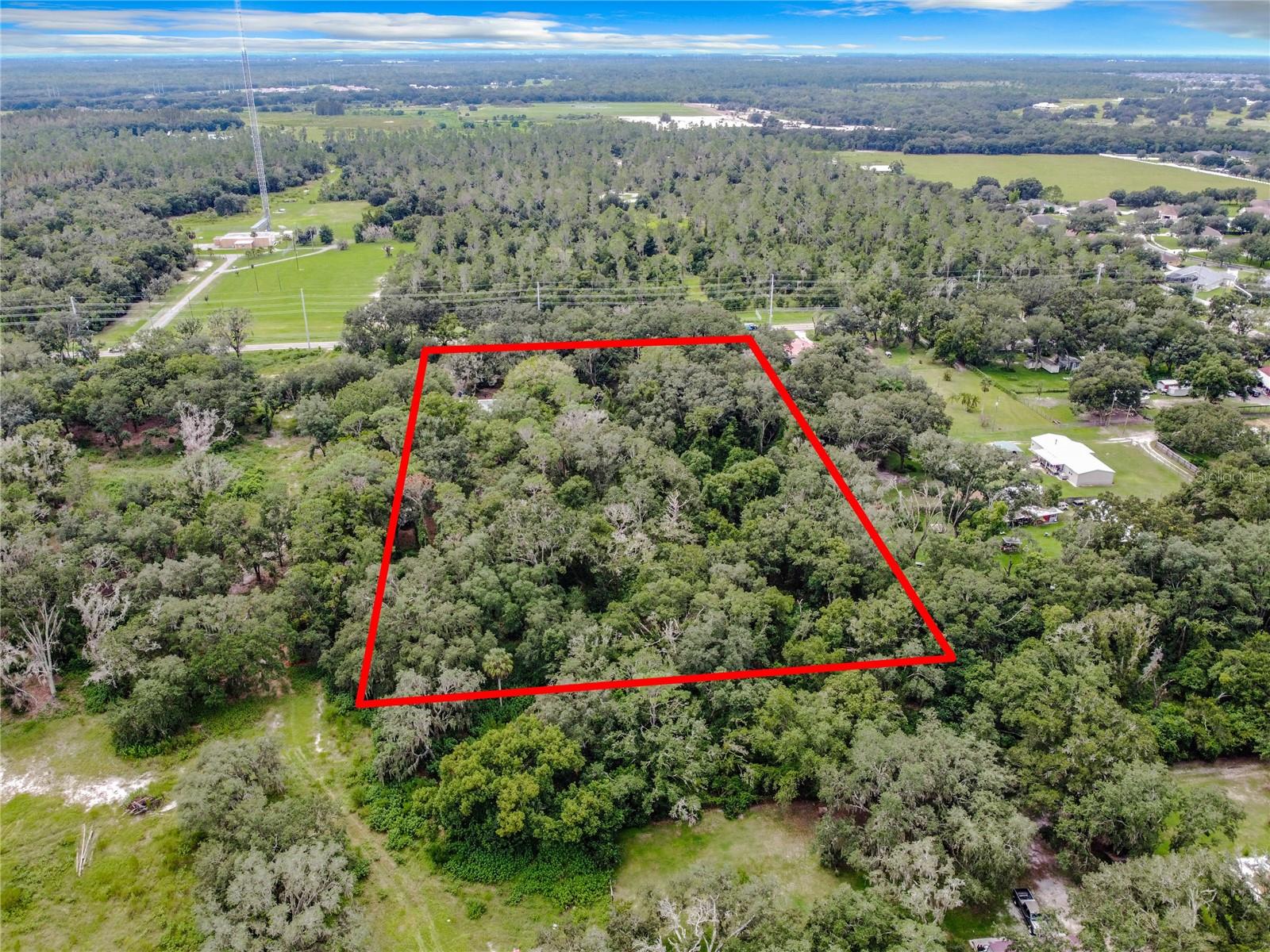 16206 BOYETTE RD — photo 3