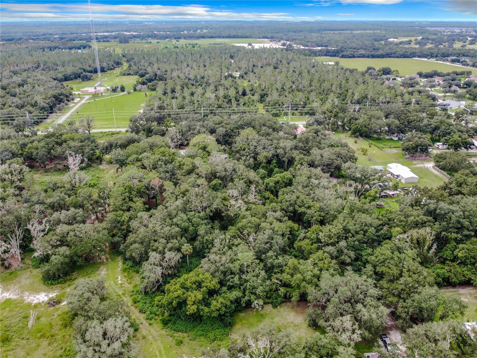 16206 BOYETTE RD — photo 5