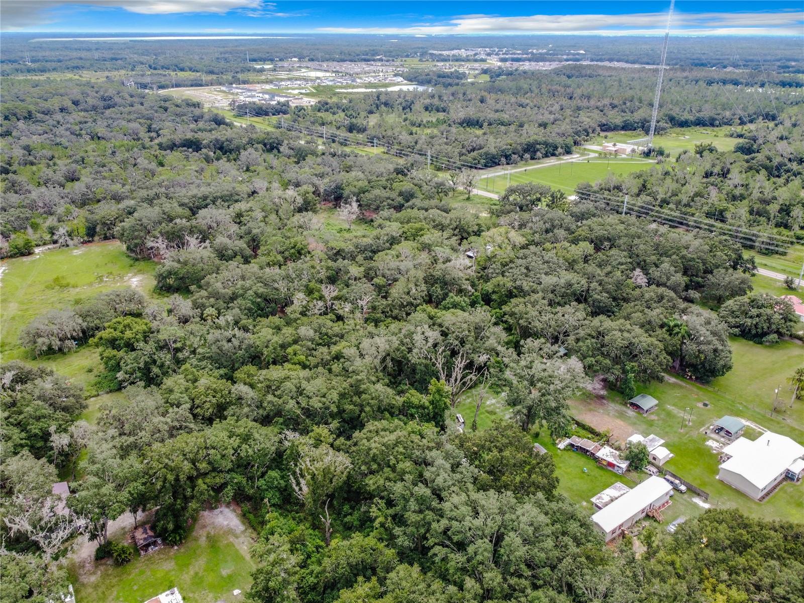 16206 BOYETTE RD — photo 8