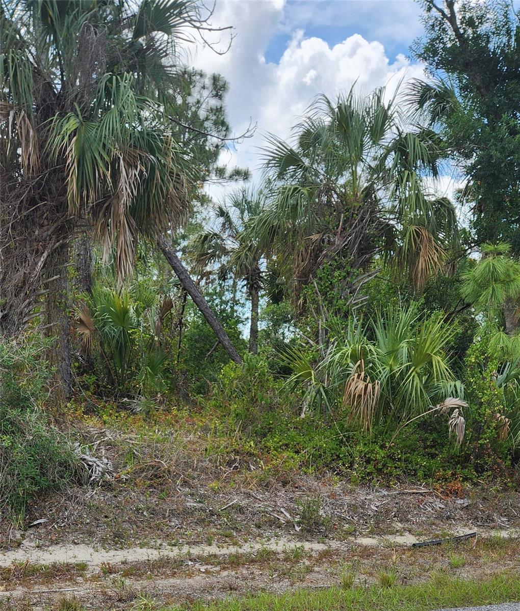 MCGINNIS TER — photo 2