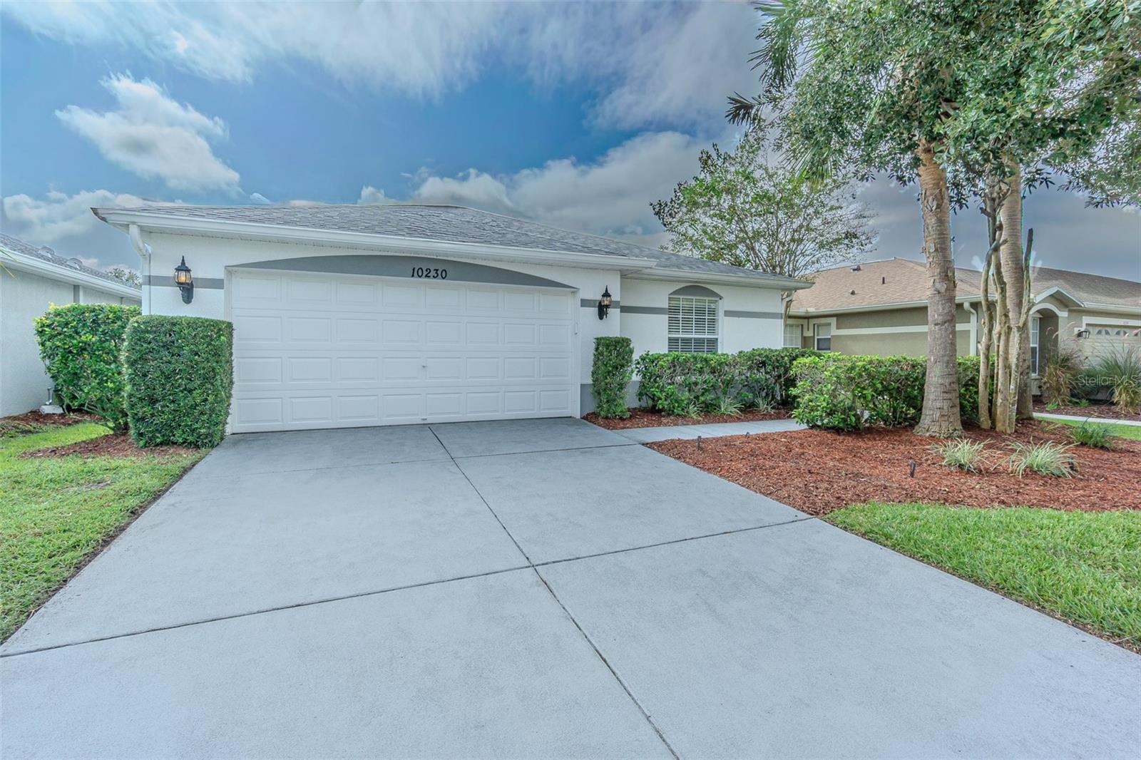 10230 OLD TAMPA BAY DR — photo 6