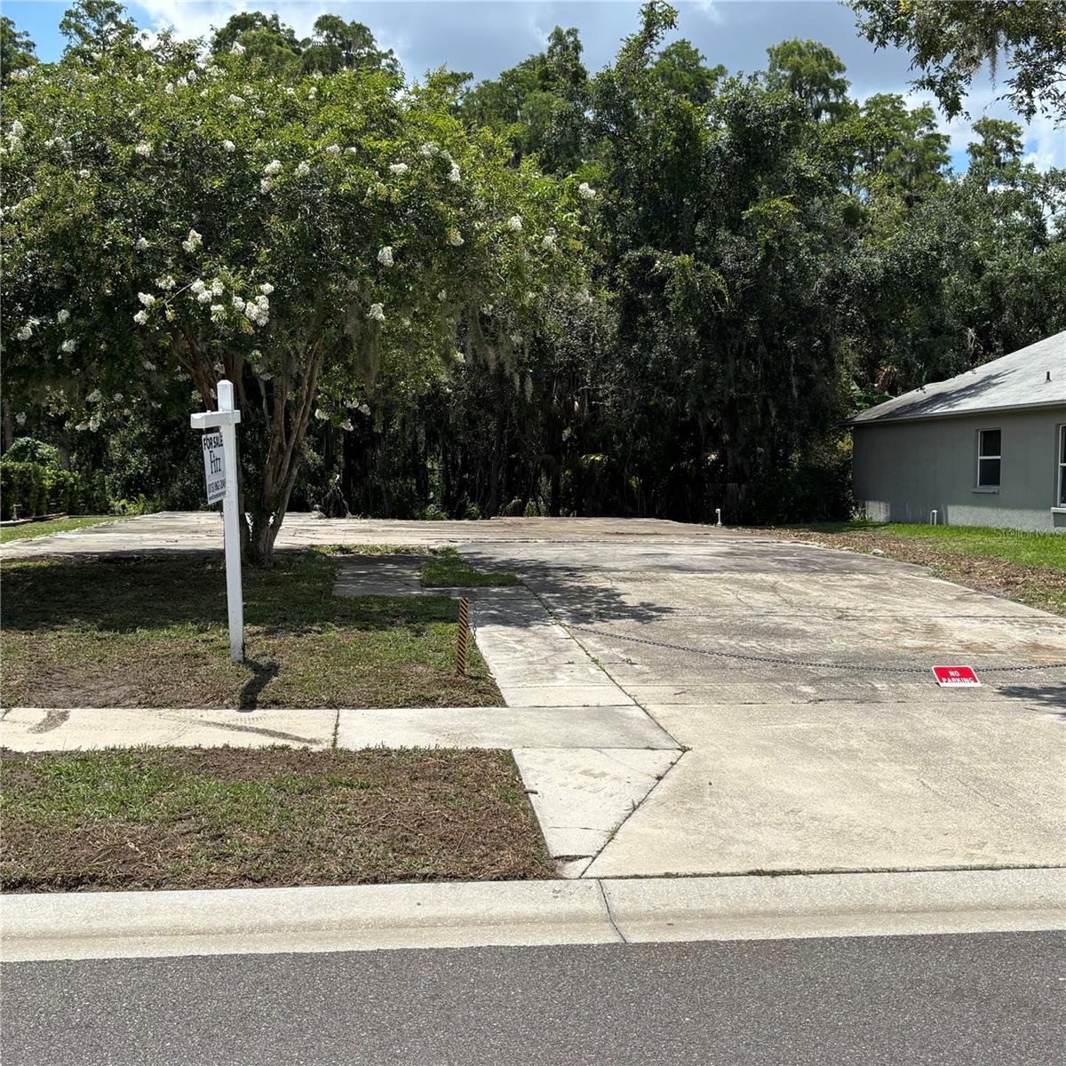 1323 BAYTHORN DR — photo 34