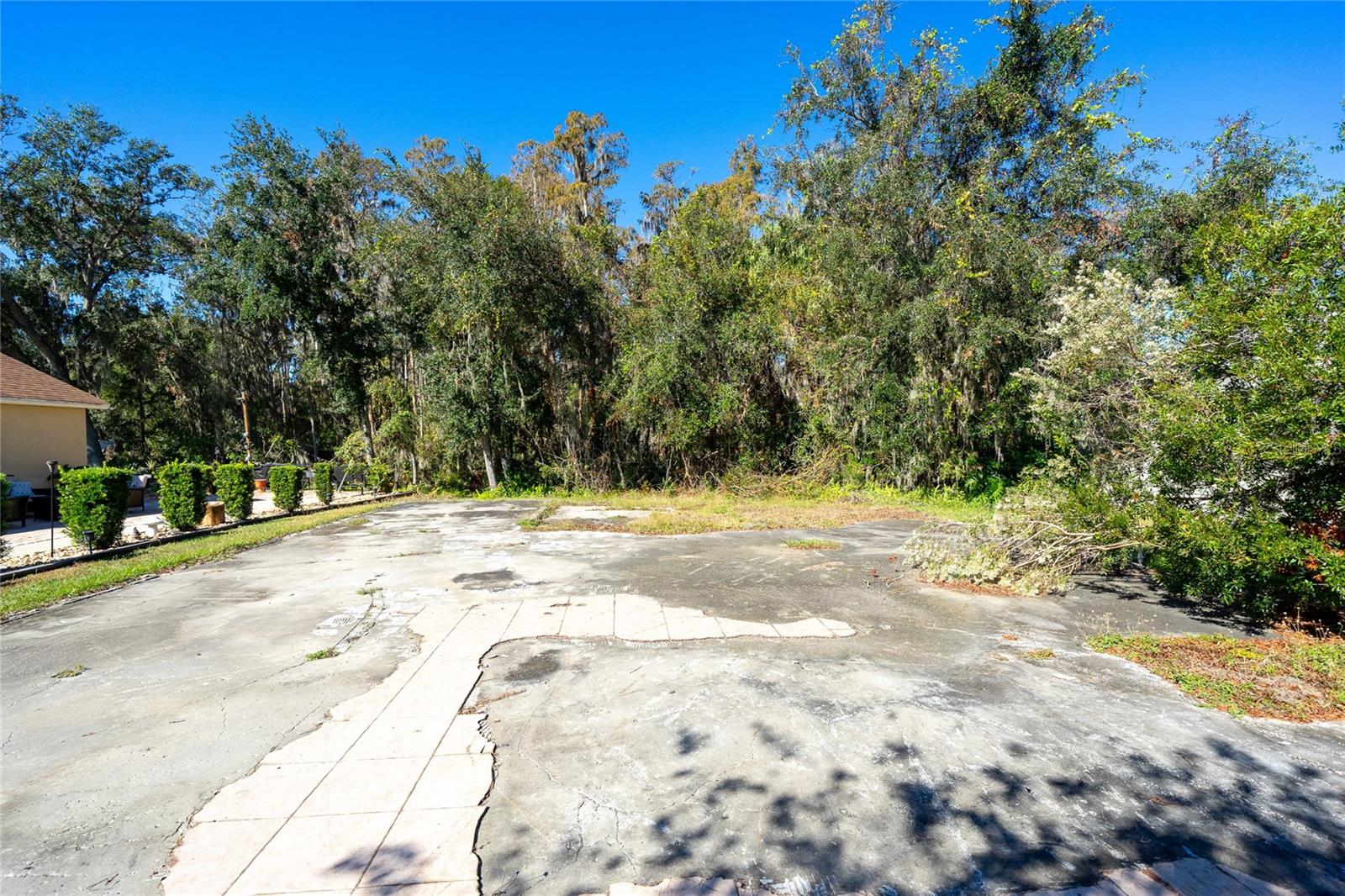 1323 BAYTHORN DR — photo 20