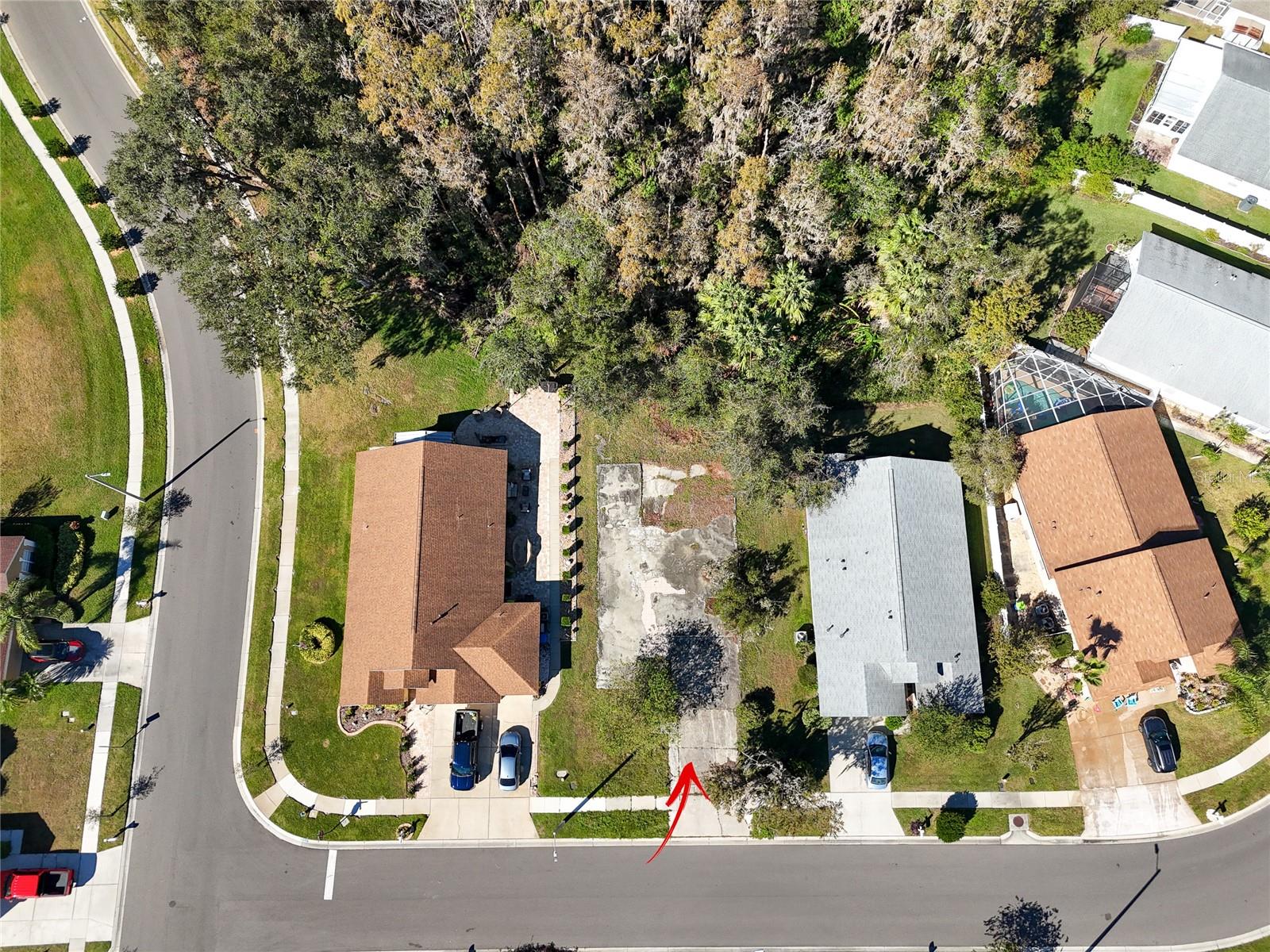 1323 BAYTHORN DR — photo 16