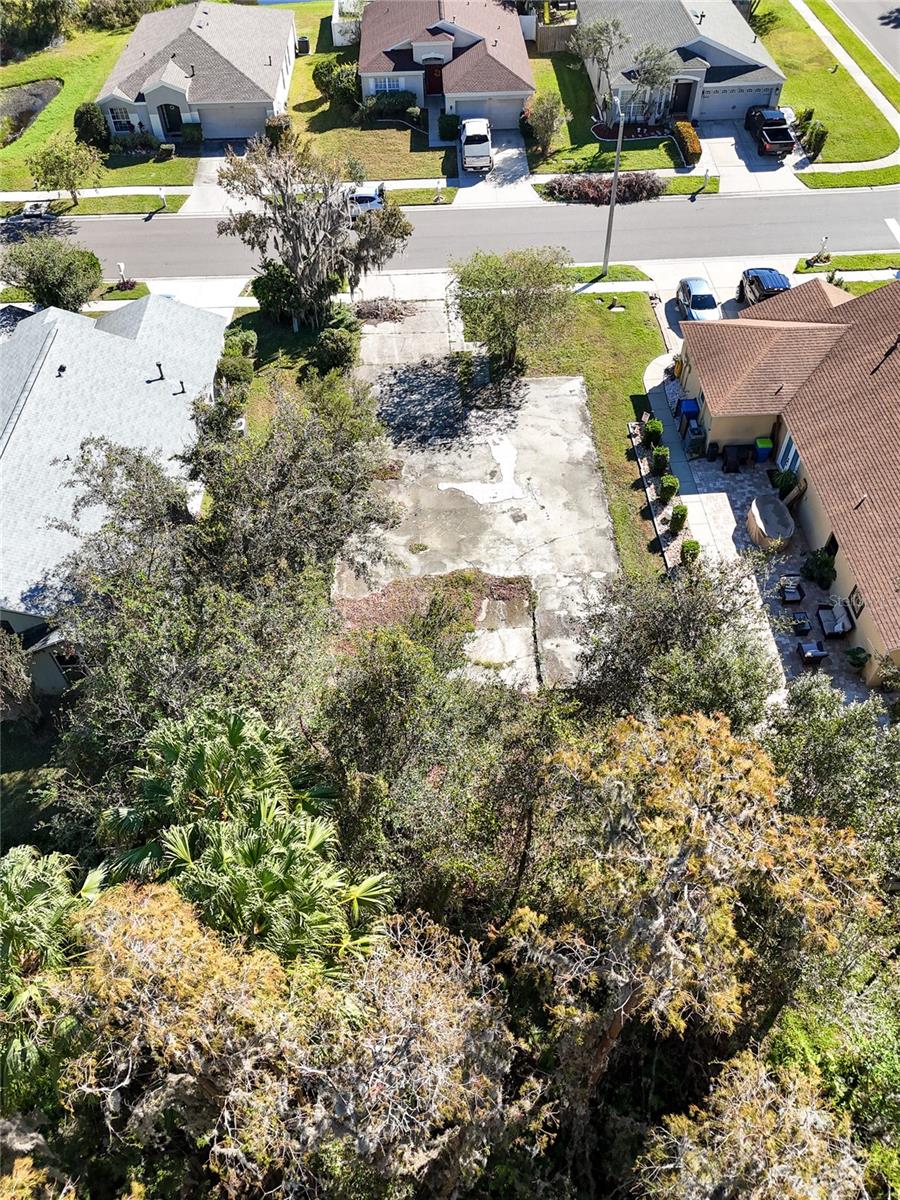 1323 BAYTHORN DR — photo 10