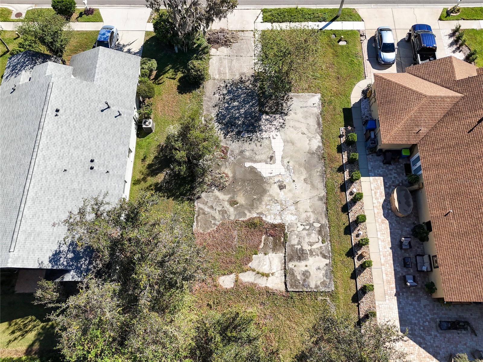 1323 BAYTHORN DR — photo 13