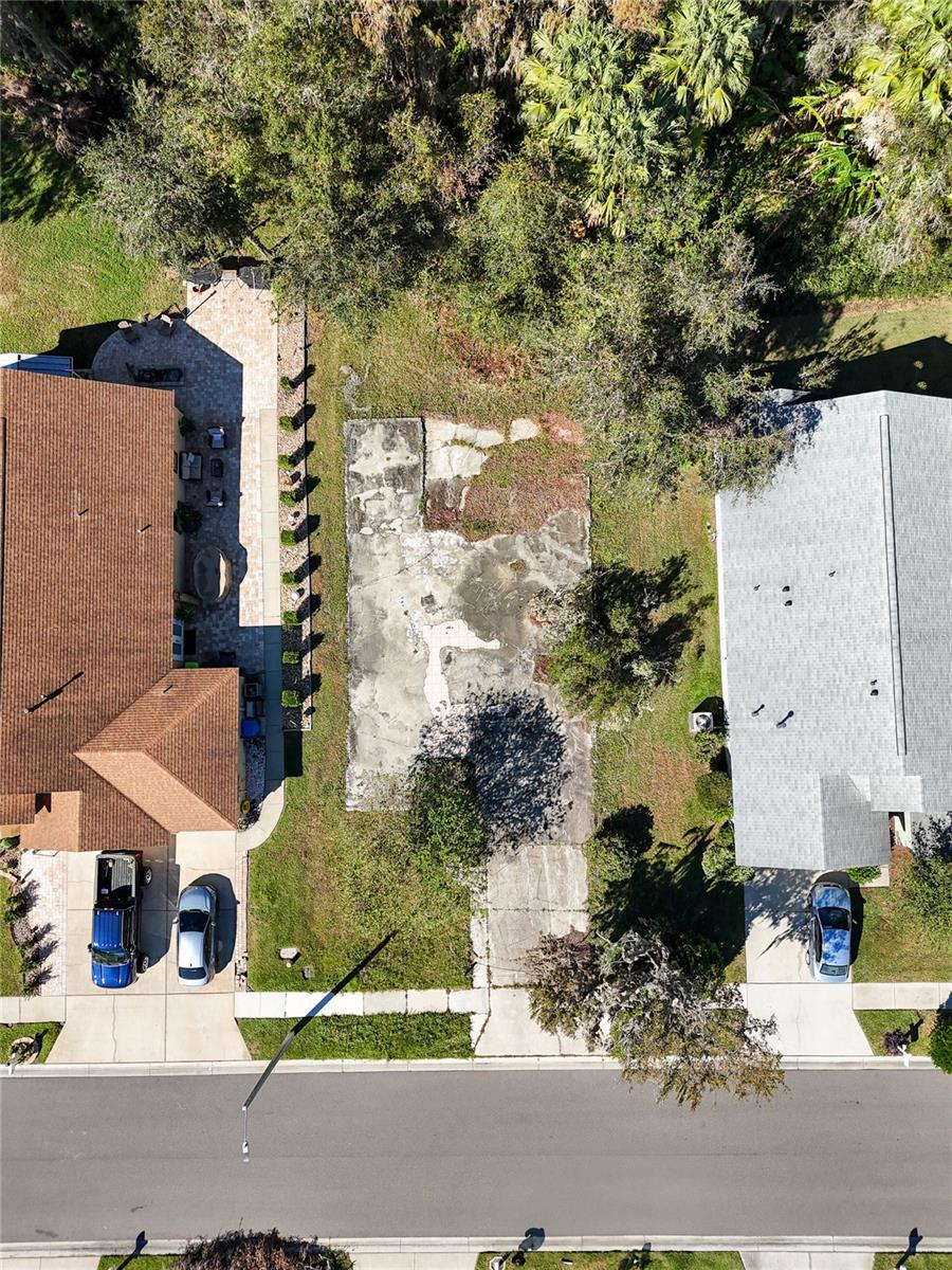 1323 BAYTHORN DR — photo 8